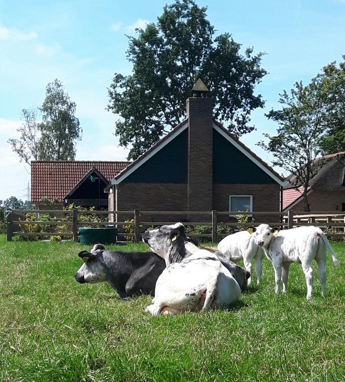 Het Kleine Landgoed Villa Haarle Exterior photo